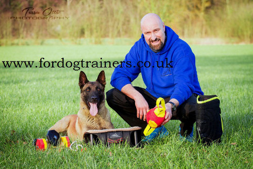 large dog toys for big dogs